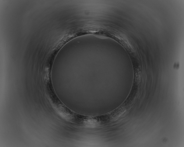 X0000091510598200708241630