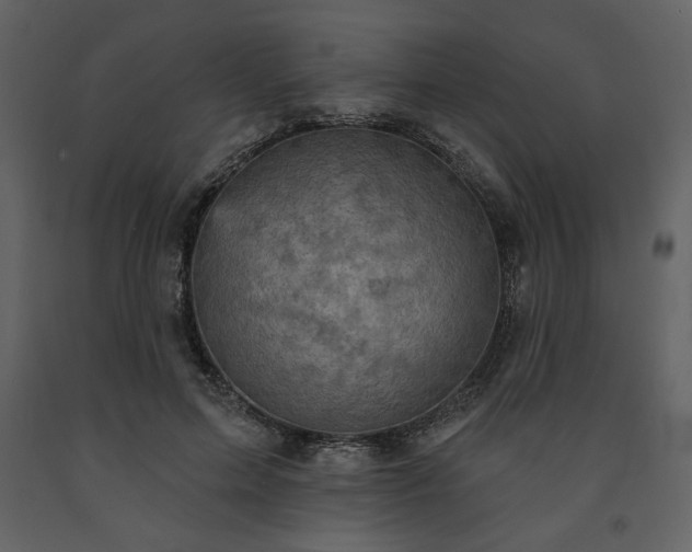 X0000091510599200708241630