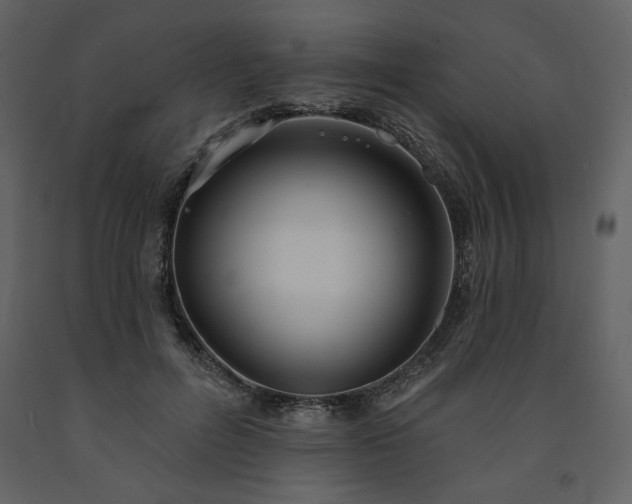 X0000091510600200708241630