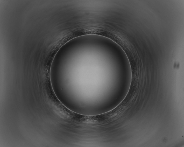 X0000091510601200708241630