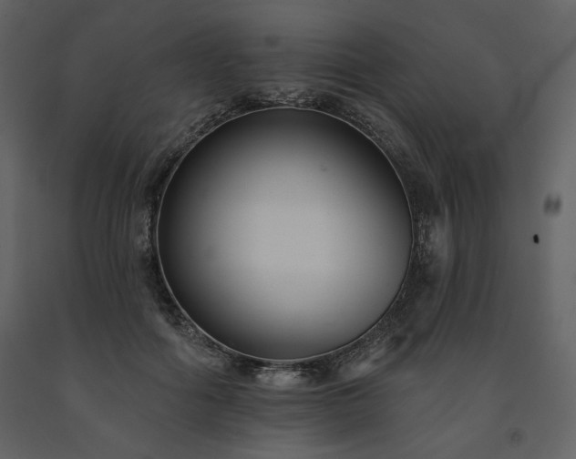 X0000091510602200708241630