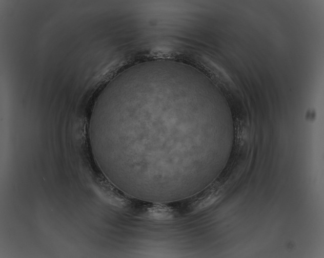 X0000091510603200708241630