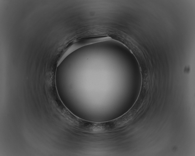 X0000091510604200708241630