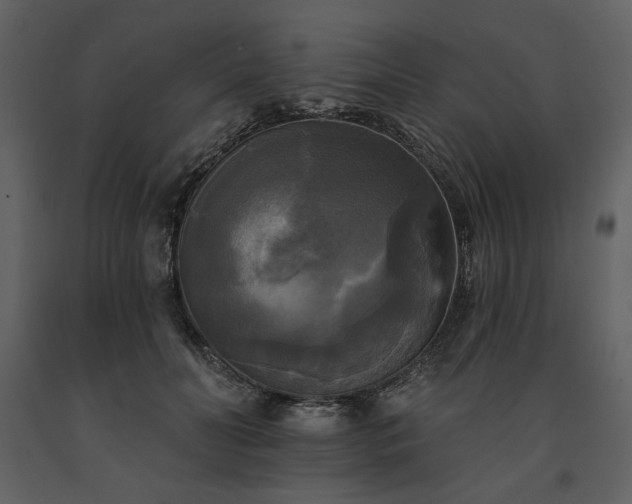 X0000091510606200708241630