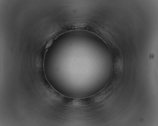 X0000091510608200708241630