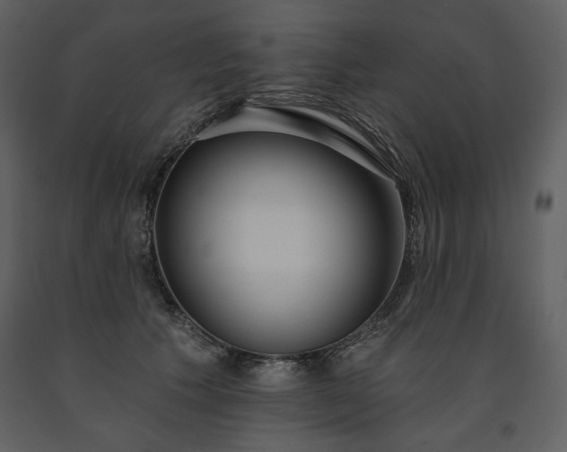 X0000091510609200708241630