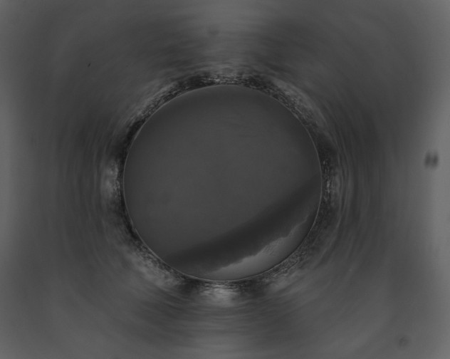 X0000091510610200708241630