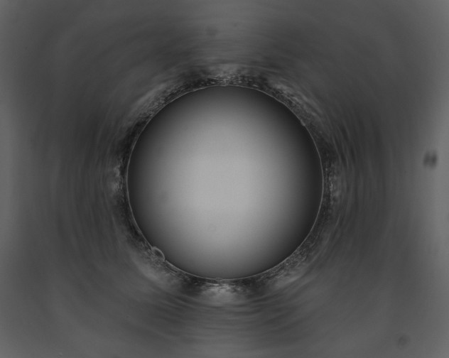 X0000091510611200708241630