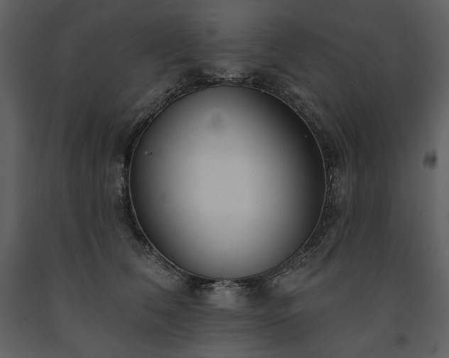 X0000091510612200708241630