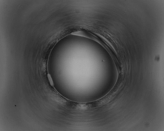 X0000091510613200708241630