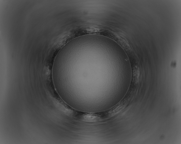 X0000091510614200708241630