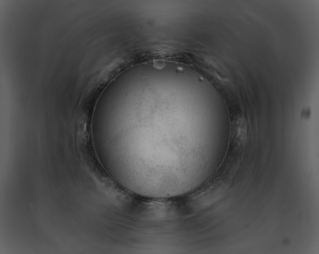 X0000091510615200708241630