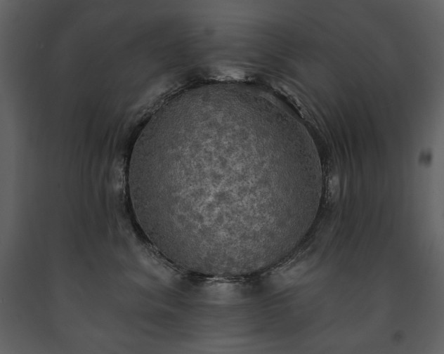 X0000091510620200708241630