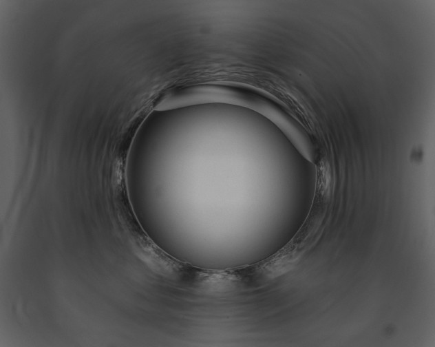 X0000091510621200708241630