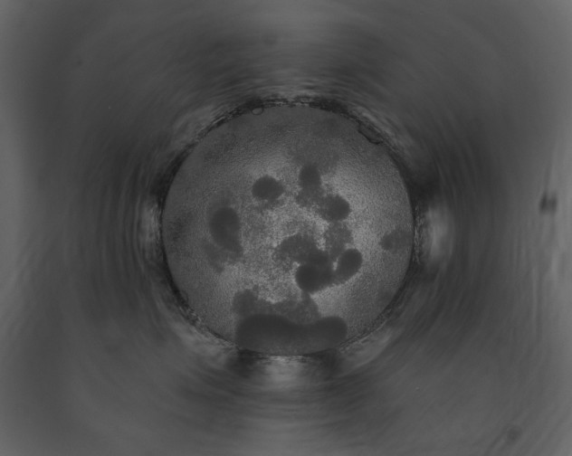 X0000091510623200708241630