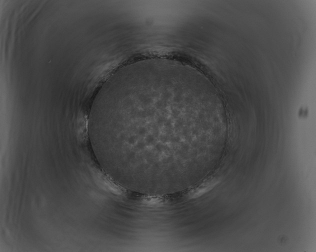 X0000091510624200708241630