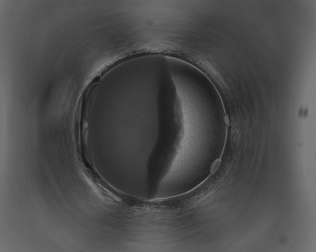 X0000091510626200708241629