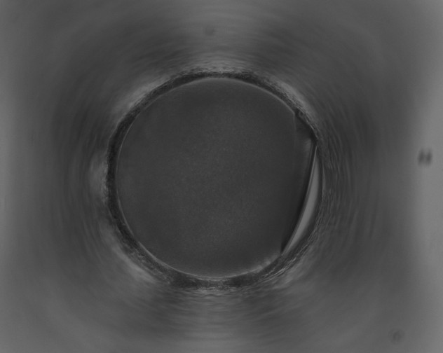 X0000091510627200708241629