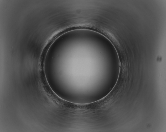 X0000091510628200708241629