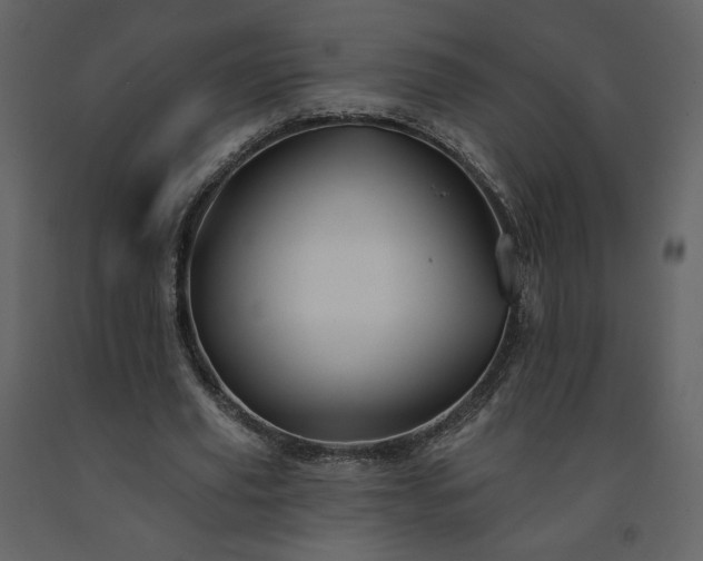 X0000091510629200708241629