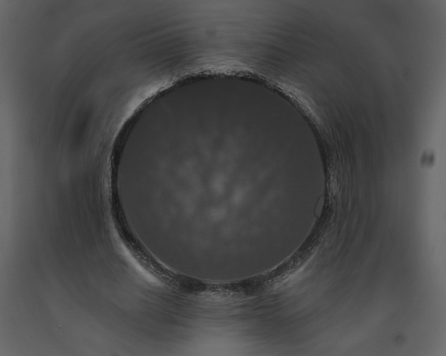 X0000091510630200708241630