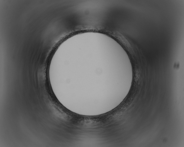 X0000091510632200708241630