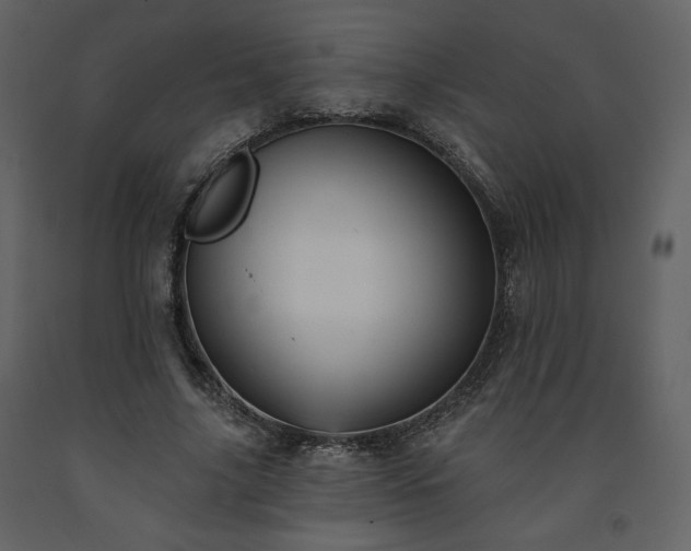 X0000091510635200708241630