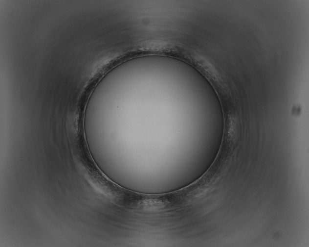 X0000091510636200708241630