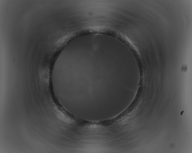 X0000091510637200708241630