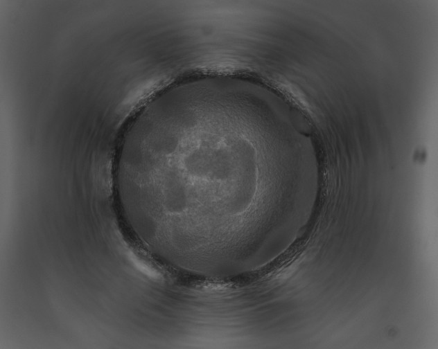 X0000091510638200708241630