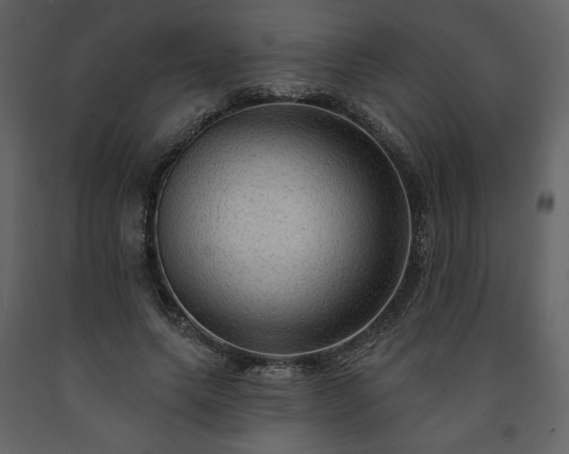 X0000091510639200708241630