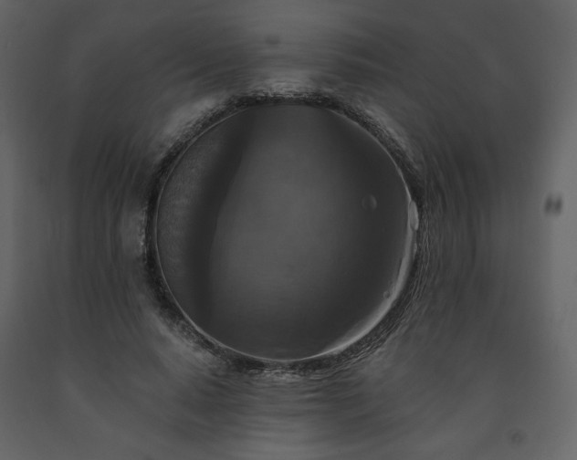 X0000091510640200708241630