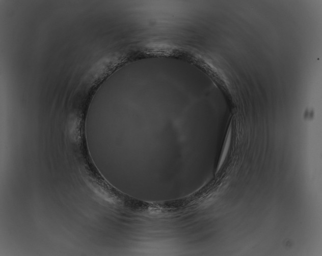 X0000091510641200708241630