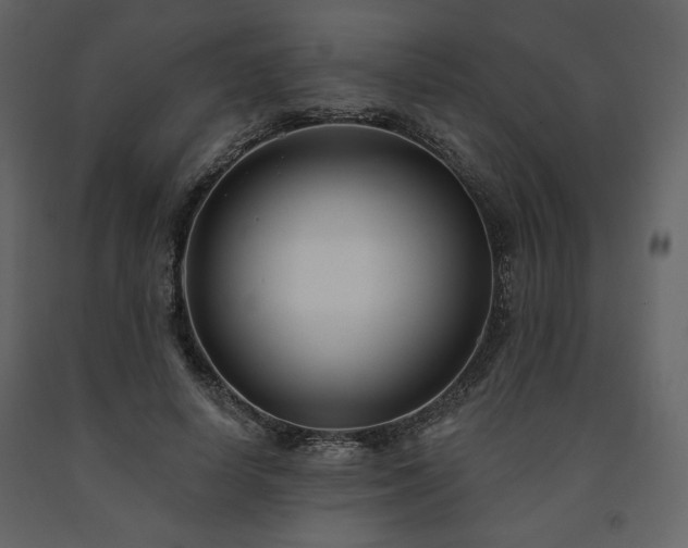 X0000091510642200708241630