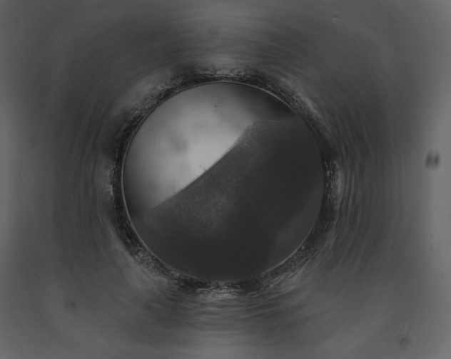 X0000091510643200708241630