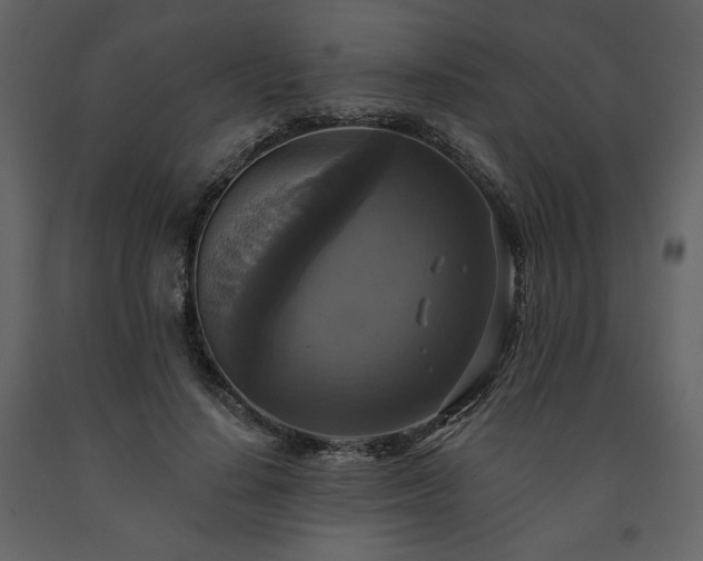 X0000091510644200708241630