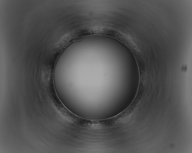 X0000091510645200708241630