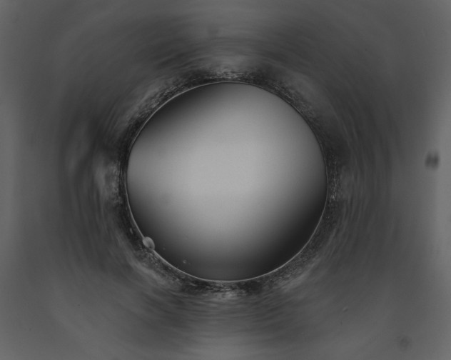 X0000091510646200708241630