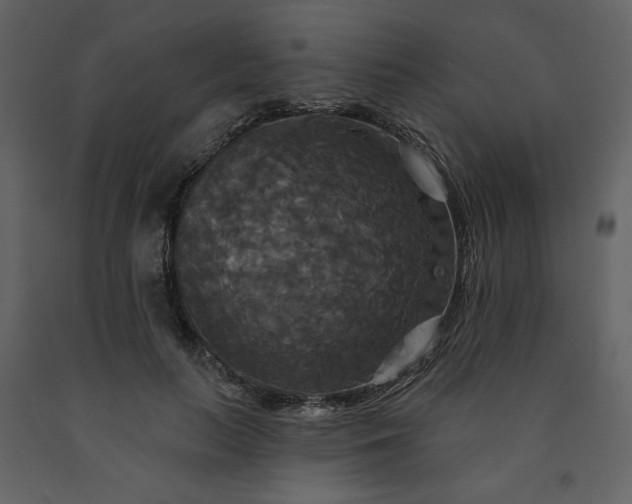 X0000091510647200708241630