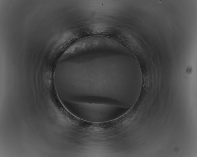 X0000091510648200708241630