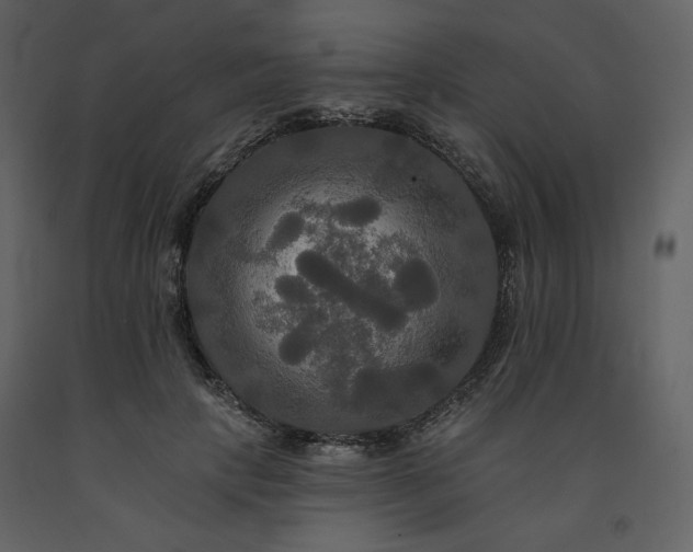 X0000091510649200708241630