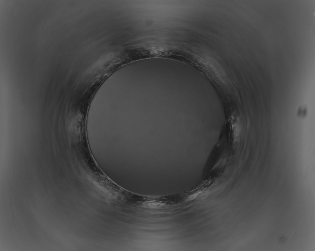 X0000091510650200708241630