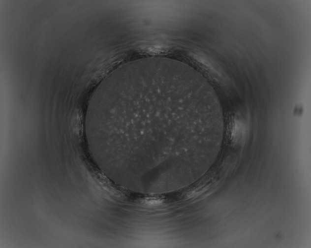 X0000091510651200708241630