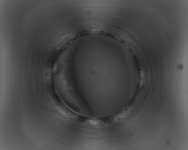 X0000091510654200708241630