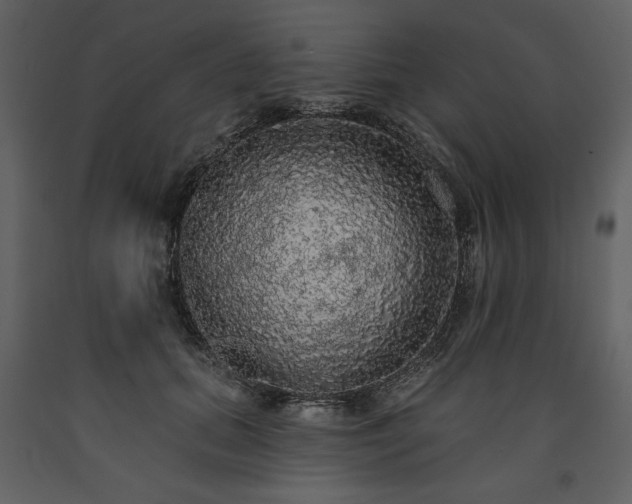 X0000091510655200708241630