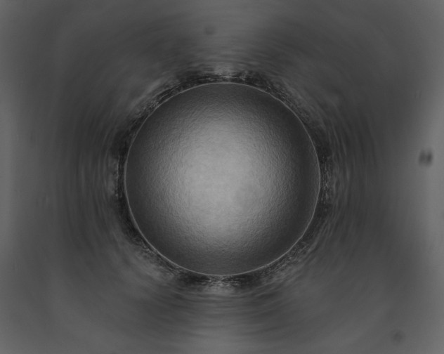 X0000091510656200708241630