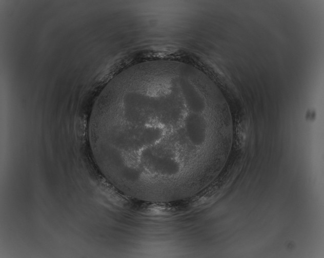 X0000091510657200708241630