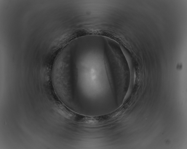 X0000091510658200708241630