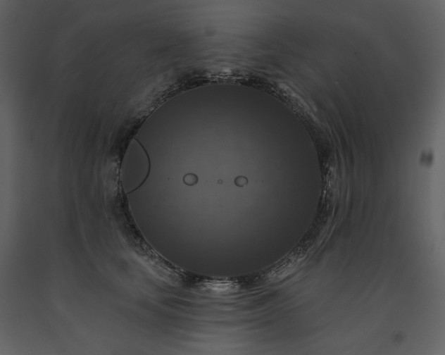 X0000091510659200708241630