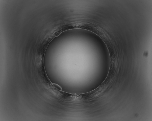 X0000091510660200708241630